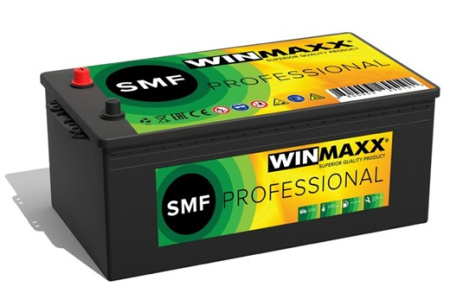 Фото Аккумулятор WINMAXX PROFESSIONAL  ( SMF lid )  200 Ач (+/-) (1200 EN)